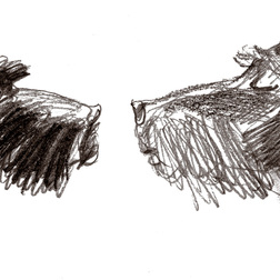 книга о дратхаарах