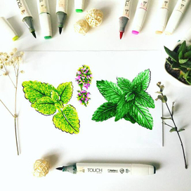 Мята и мелиса