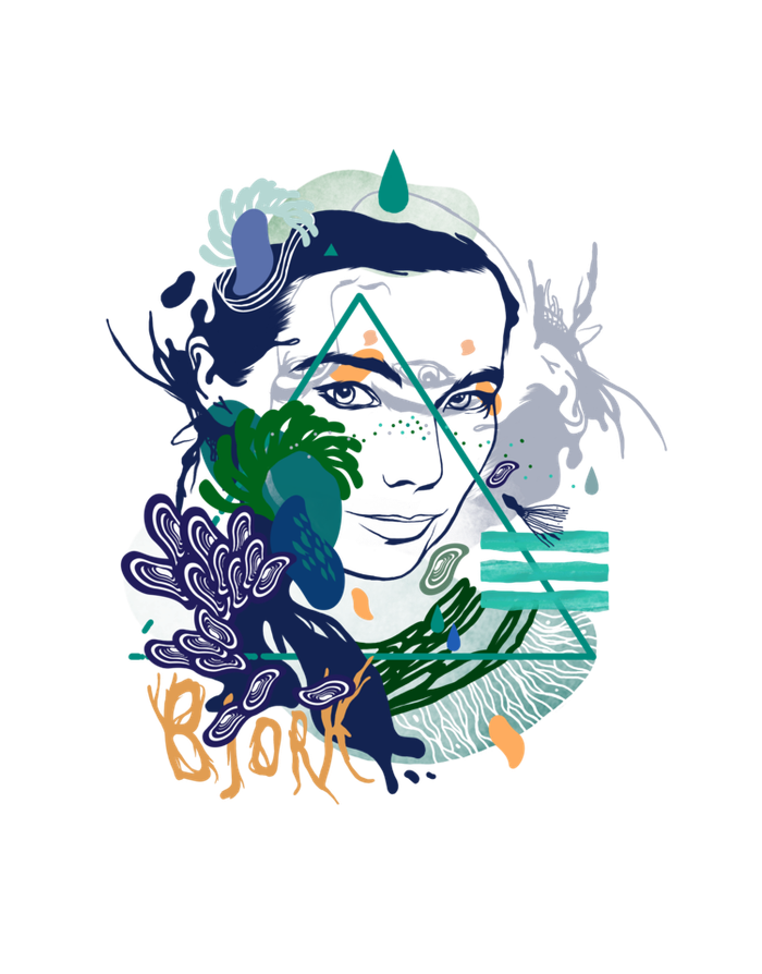 Bjork. Принт на футболку