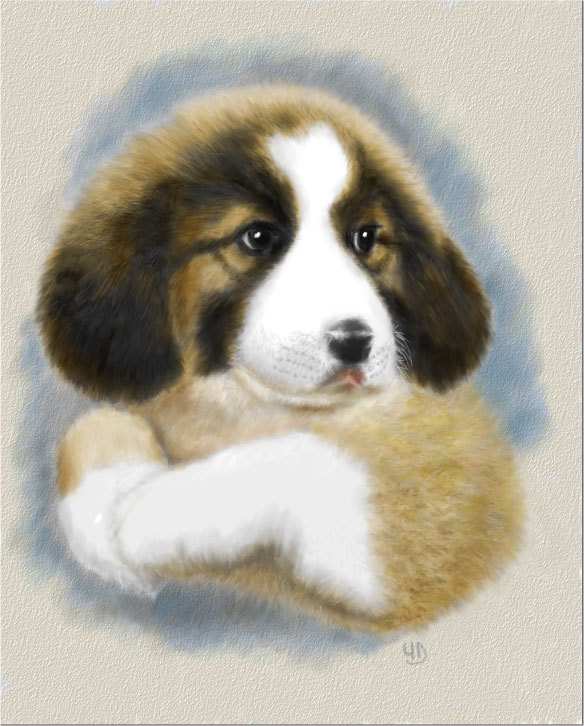 Задумчивый щенок