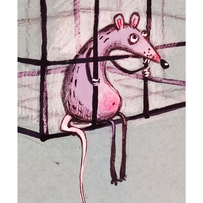 Сижу за решеткой...