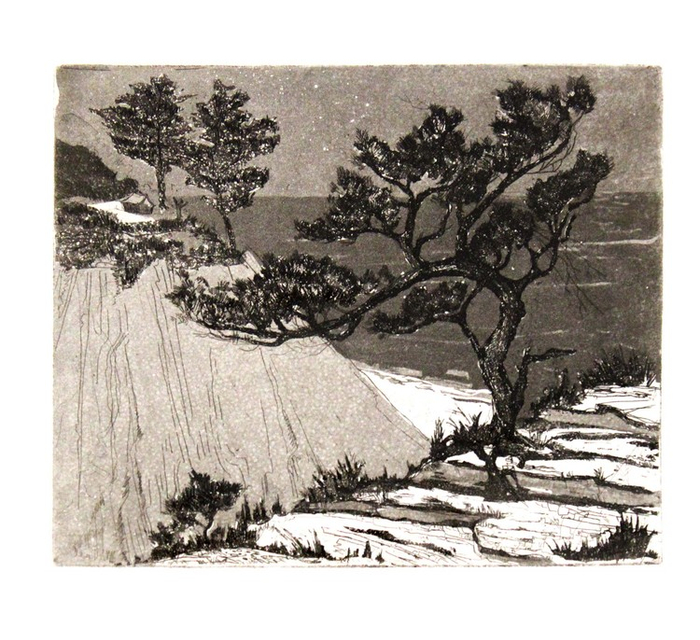 Дикий берег