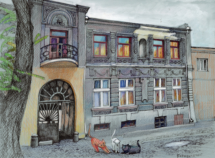 КОШАЧИЙ  СОВЕТ