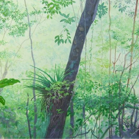 Коати и Жагуатирика (форзац)