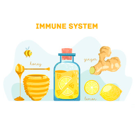 Иммунная система