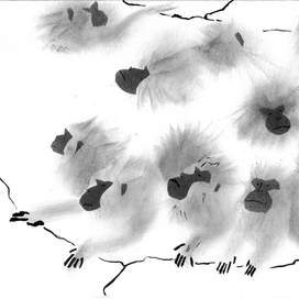 Японские макаки