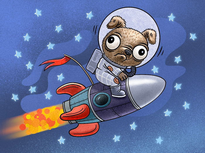 Космопес на ракете