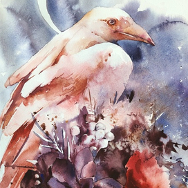 Сумеречный гость