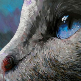 взгляд по ту сторону