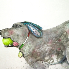 украли мячик