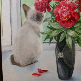 Сидит кошка на окошке