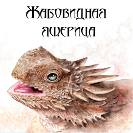 Жабовидная ящерица - акварель