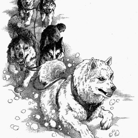 Зов предков. Шмуцтитул 2