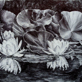 маленький мир