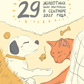 Иллюстрация №10 для центра "Сострадание НН"