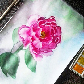 Акварельный "Пион" 