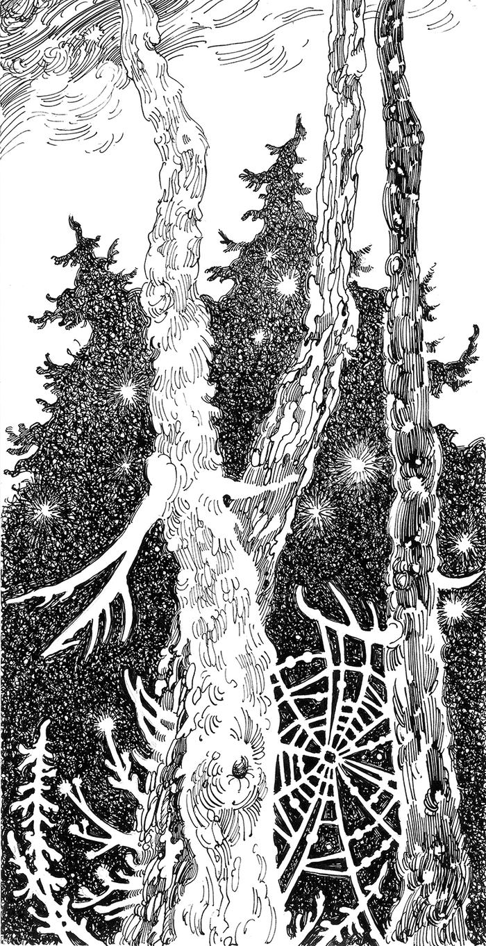 Паутина в соснах