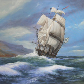  Свежий ветер 