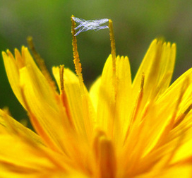 Электричество