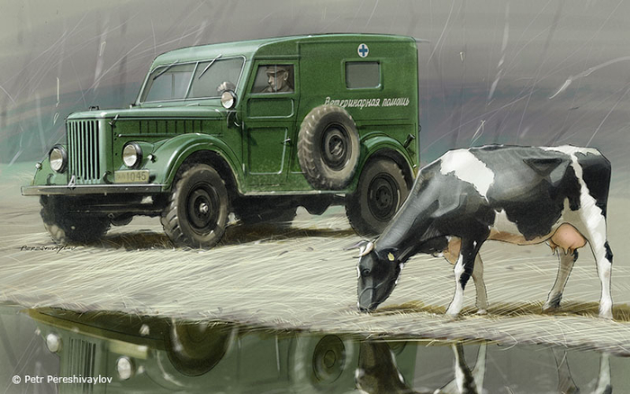 Ветеринарная помощь