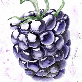 ежевичкааа