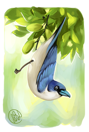 синяя птичка