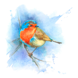 КРЫЛАТАЯ ЖИЗНЬ | Концепция книги-энциклопедии о птицах