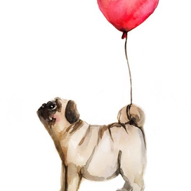 Мопс с шариком