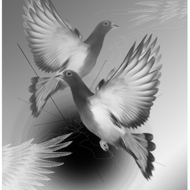 Шито белыми нитками