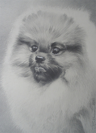 Портрет Эльфа.Заказ по фото.