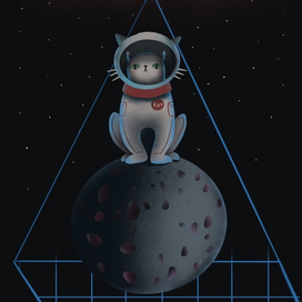 Кот и космос