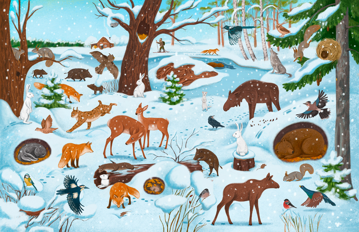 Зима в лесу