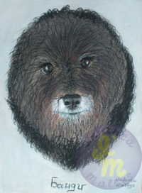 Банди. Вид сверху.