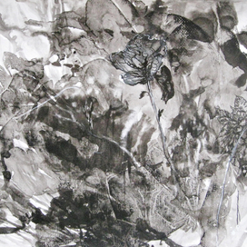 Клумба. Абстракция. Графика