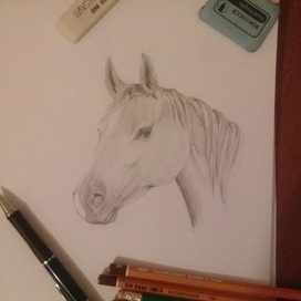 pensil_horse
