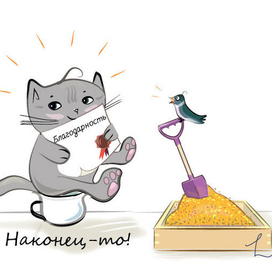 наконец-то!