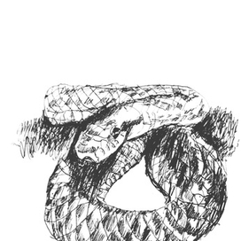 Змея и  муравей 