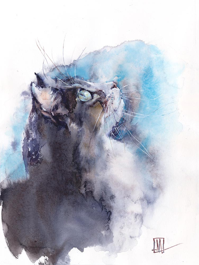 Голубой котик