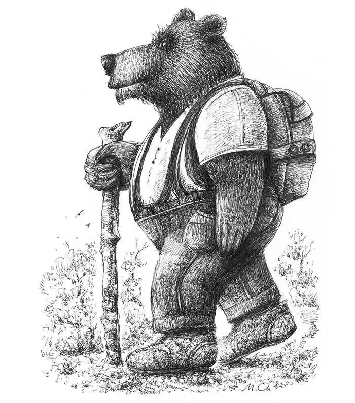 Медведь путешественник