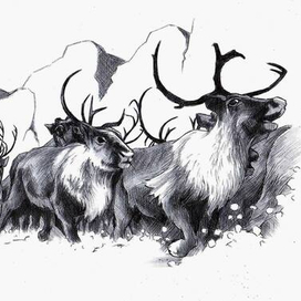 Молниеносный. 2-0