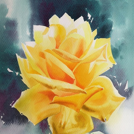 "Жёлтая роза"