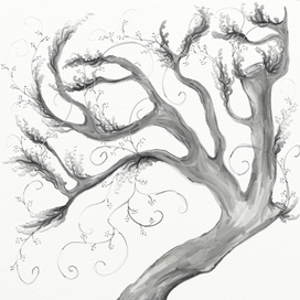 Чёрно белый волшебство 6