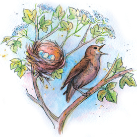 жайворонок