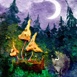 Волшебные грибы