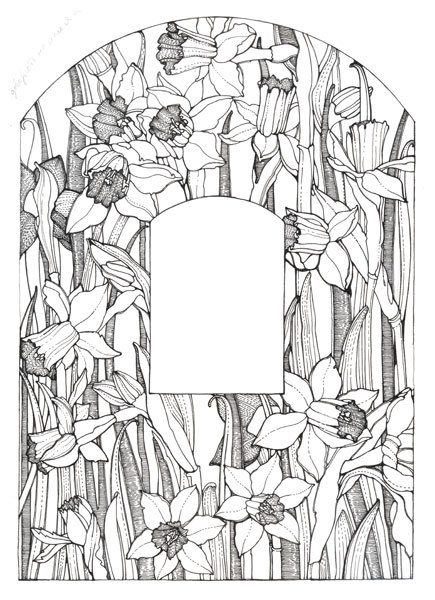 Оборочная иллюстрация "Нарциссы"