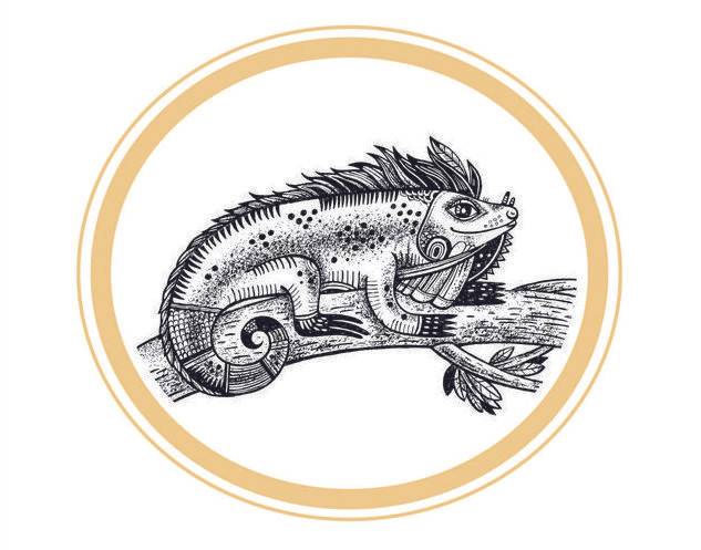 Игуана (Из серии "Игрушки")