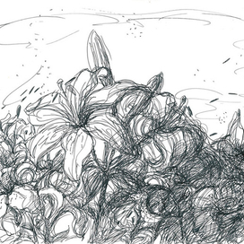 Сказка о Лилии