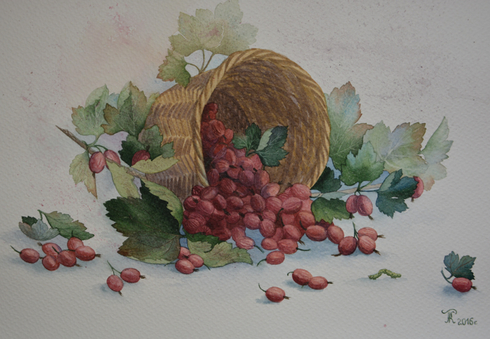Натюрморт с крыжовником