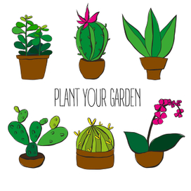 Plant your garden