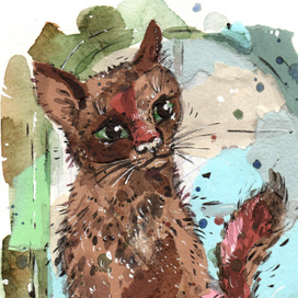 Животные Йоркширских холмов